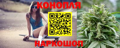 прущие грибы Малгобек