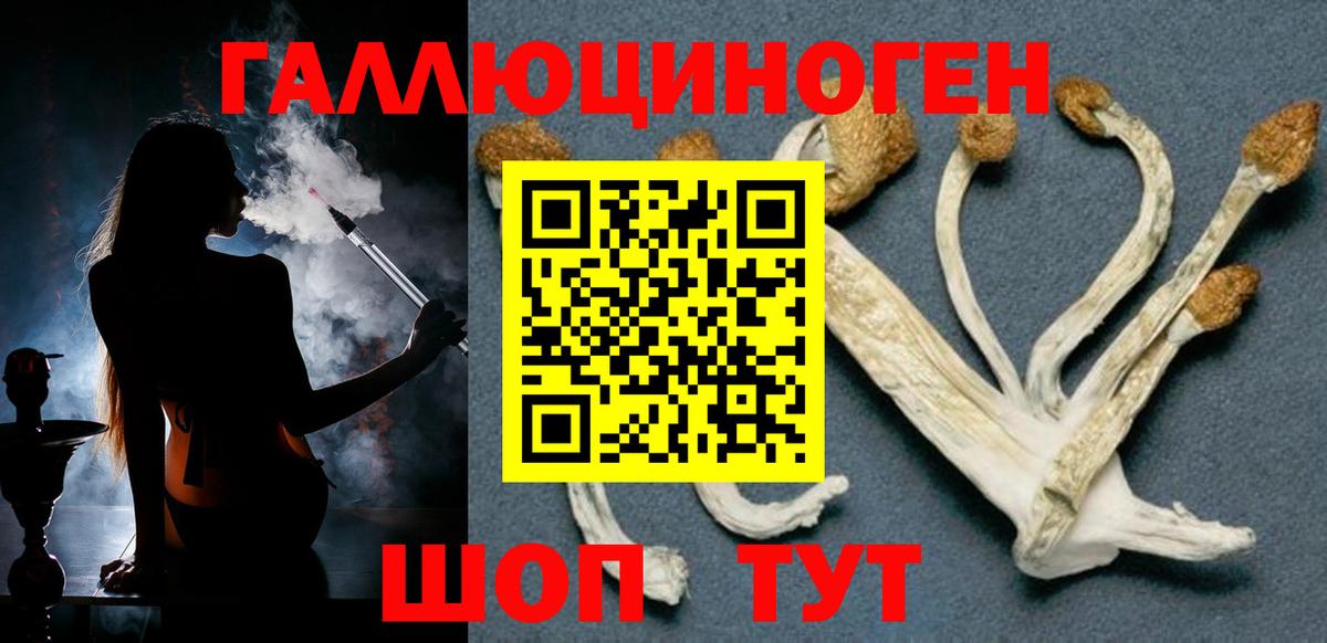 Видное  сколько стоит  Вход с VPN  Псилоцибиновые грибы Psilocybine cubensis 